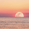 Strawberry Moon 2025: See Tonight’s Rare Lunar Display During Major Standstill June Moon